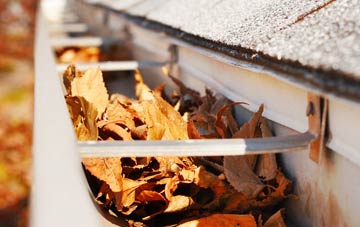 Newmore gutter cleaning companies