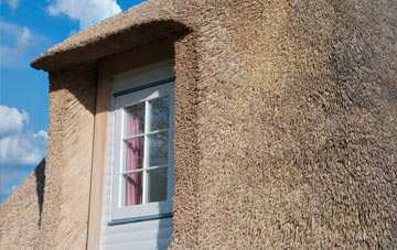 Newmore thatch roof disadvantages