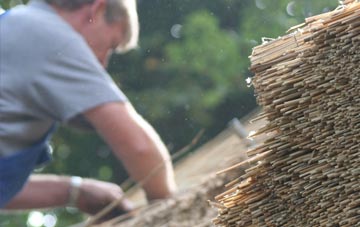 professional Newmore thatchers