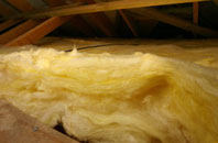 Newmore pitch roof insulation